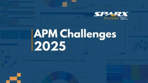 common challenges in implementing application portfolio management in 2025