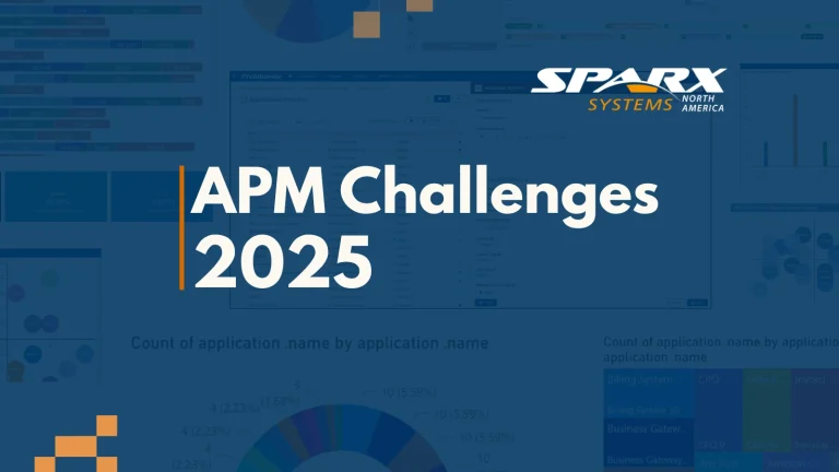 common challenges in implementing application portfolio management in 2025