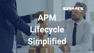 core components of Application Portfolio Management APM