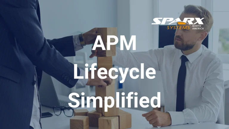 core components of Application Portfolio Management APM