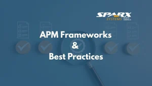 Application Portfolio Management Framework standards and best practices