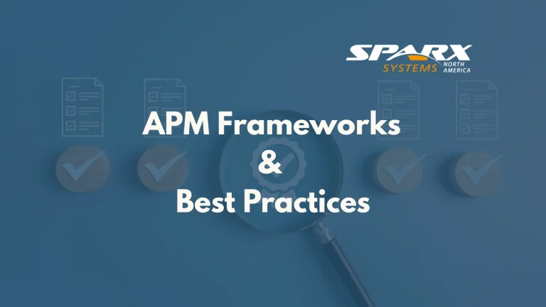 Application Portfolio Management Framework standards and best practices