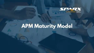 Application Portfolio Management Maturity Model