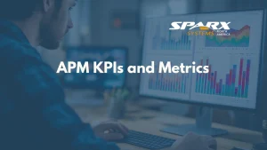 Application portfolio management KPIs and metrics