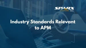 Frameworks and standards for application portfolio management apm