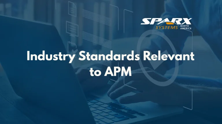 Frameworks and standards for application portfolio management apm