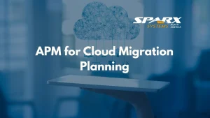 How to use Application Portfolio Management APM for Cloud Migration and Planning activities