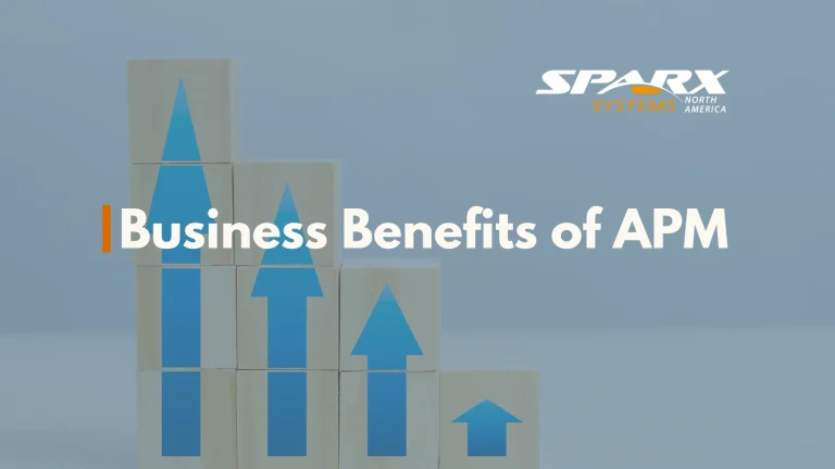 What are the business benefits of application portfolio management