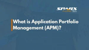 What is Application Portfolio Management (APM) Benefits, Examples and Industry Best Practices