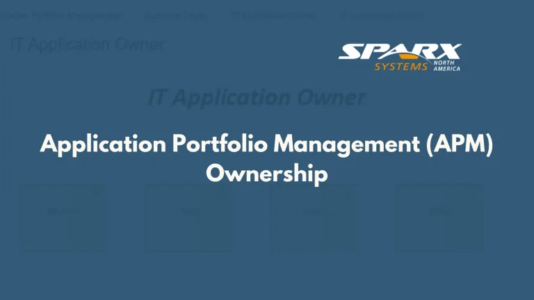 Why is ownership important in application portfolio management apm