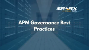 best practices for application portfolio management governance lifecycle and roles