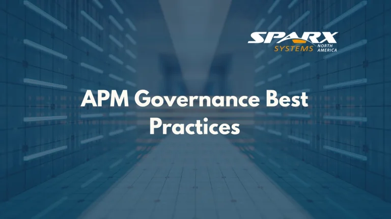 best practices for application portfolio management governance lifecycle and roles