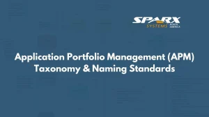 how to build a practical application portfolio taxonomy for data models, classification and naming standards